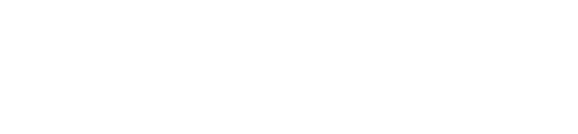 wbinoz_pl_biel.png